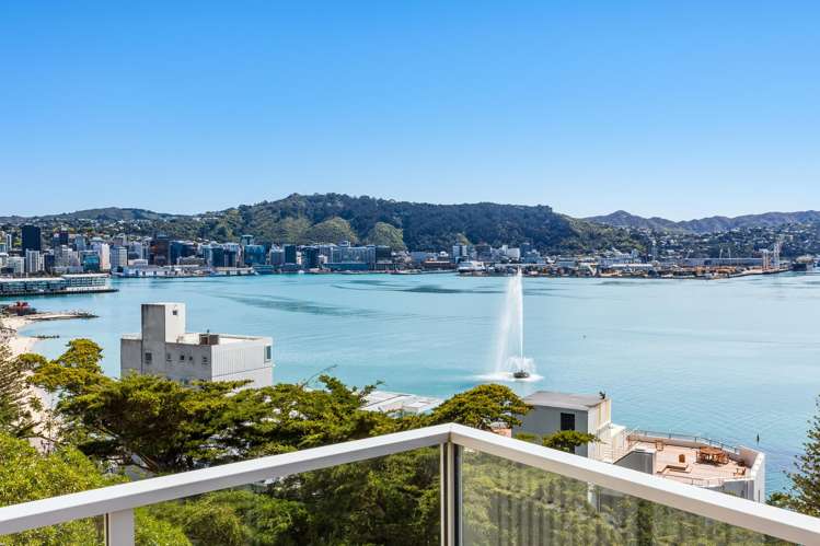 5/9 Wilkinson Street Oriental Bay_22