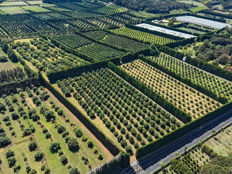 88 Stone Wall Rse Maungatapere_11