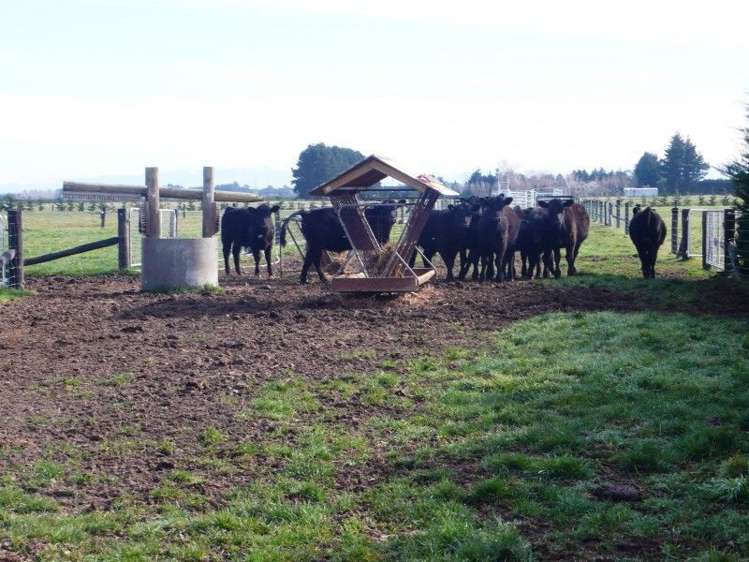 222 Newtons Road Rolleston_1