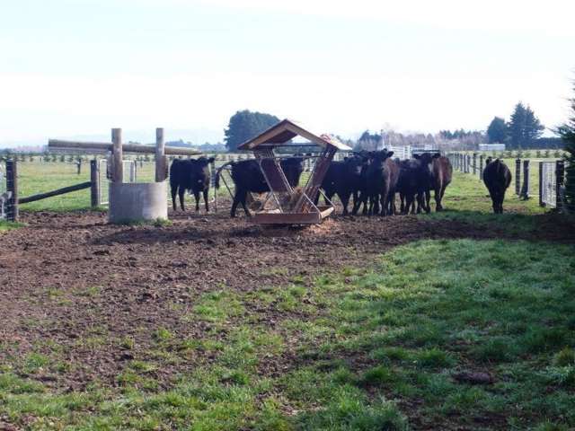 222 Newtons Road Rolleston_1