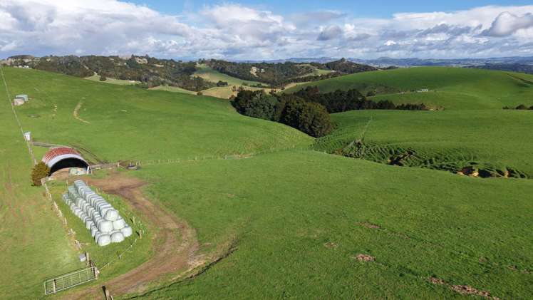 256 McIntyre Road Oromahoe_5