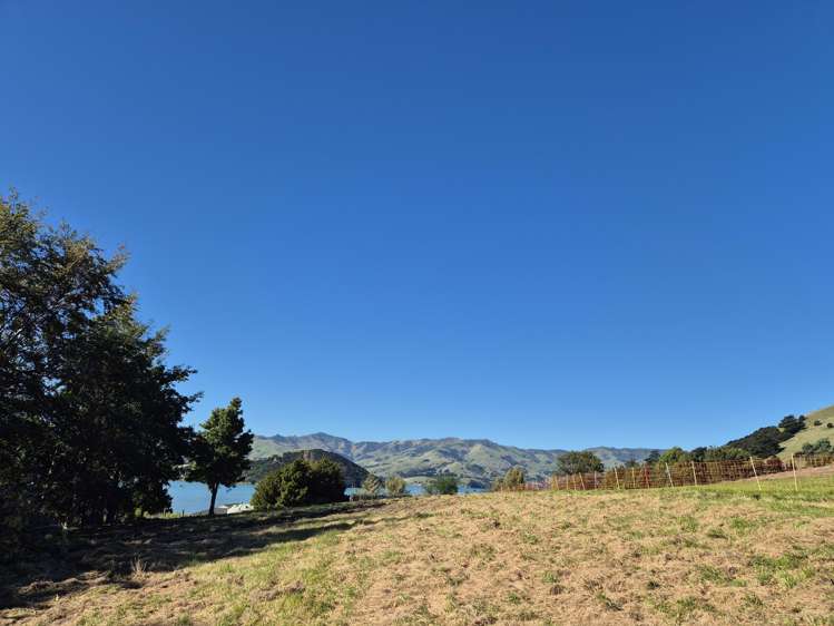 282 Wainui Main Road French Farm_16