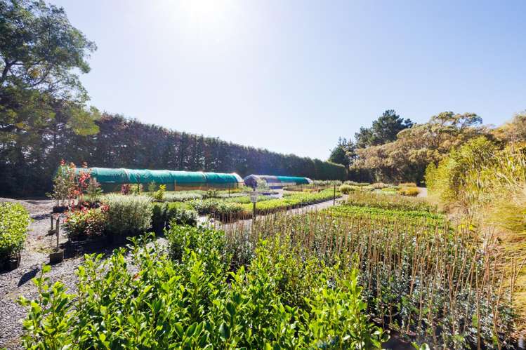 774 Taonui Road Colyton_32