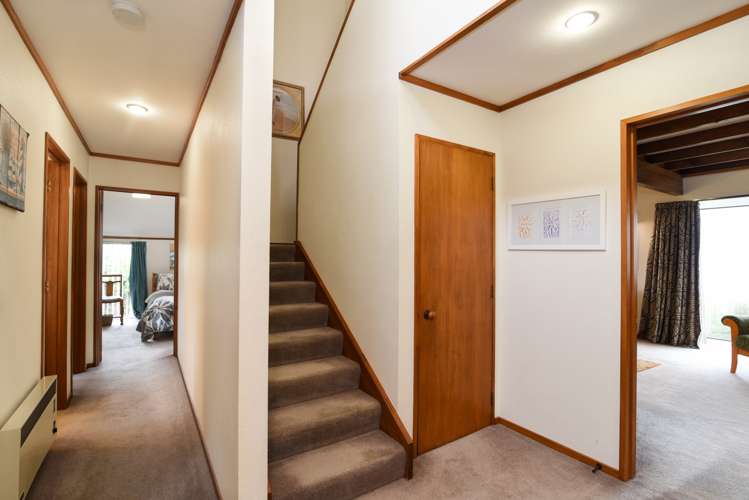 207 Larnach Road Waverley_13