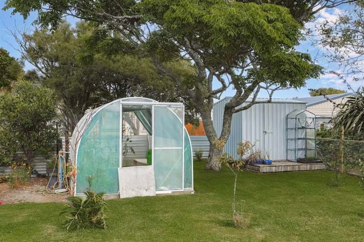 10 Greenfield Street Hector_21