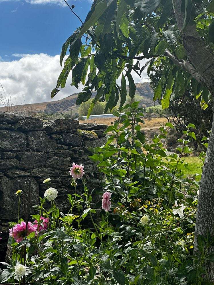 1245 Teviot Road Teviot_15