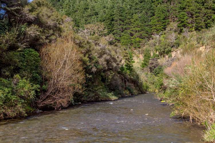 512 Mangatarere Valley Road Carterton_9