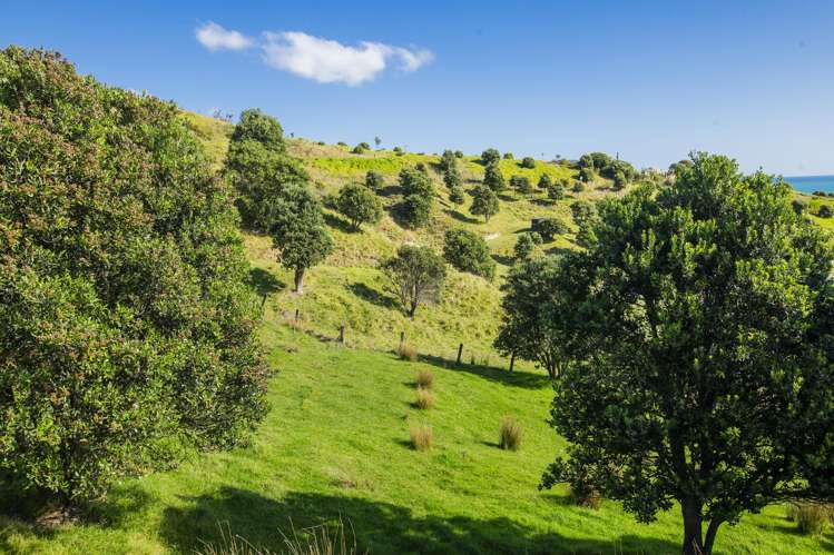 87 Lochiel Street Mahia_17