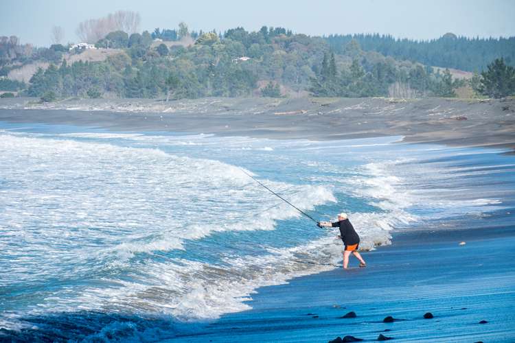 Tangoio Beach Sections Bay View_7