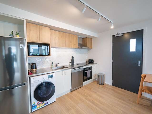 241 Castle Street Dunedin Central_2