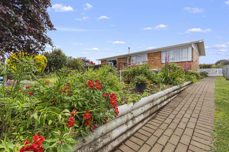 8 Morrice Avenue Morrinsville_23