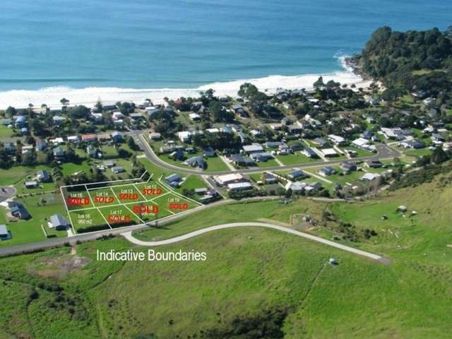 46 Te Punga Road Whangapoua_1