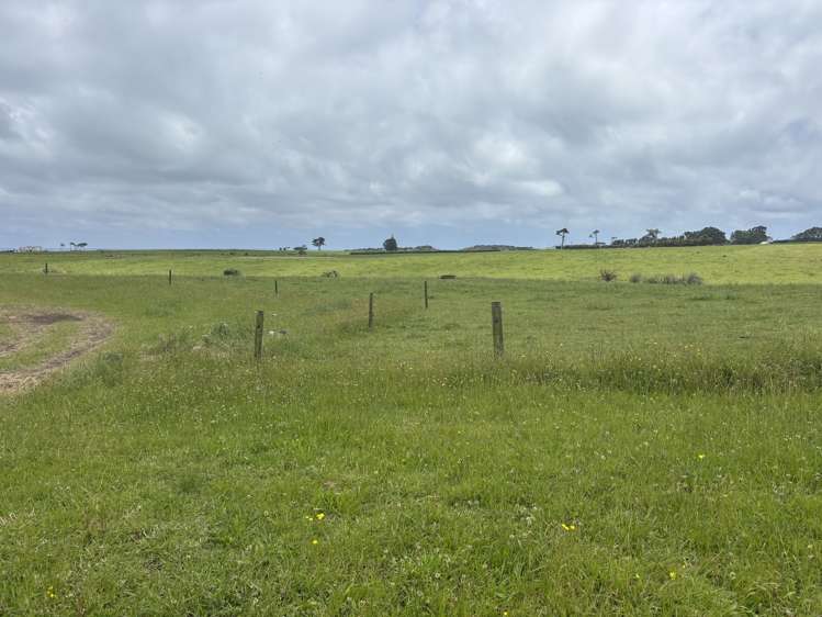 33F Airport Drive New Plymouth_1