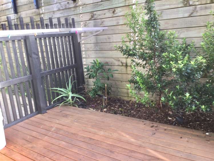 36 Ceramic Lane New Lynn_12