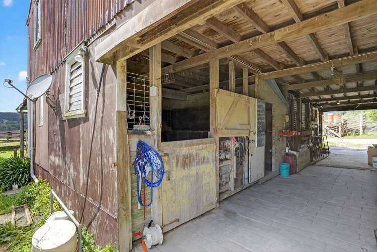 54 Edgerley Road Kaipara Flats_18