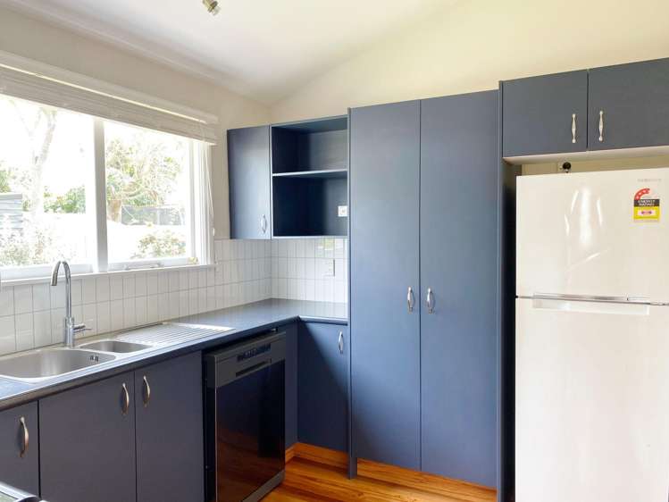 23 Longfellow St Sydenham_2