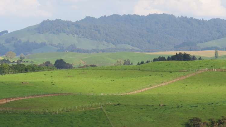 356 Whatauri Road Wharepapa South_6