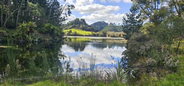 294b Dods Road Waikite Valley_4