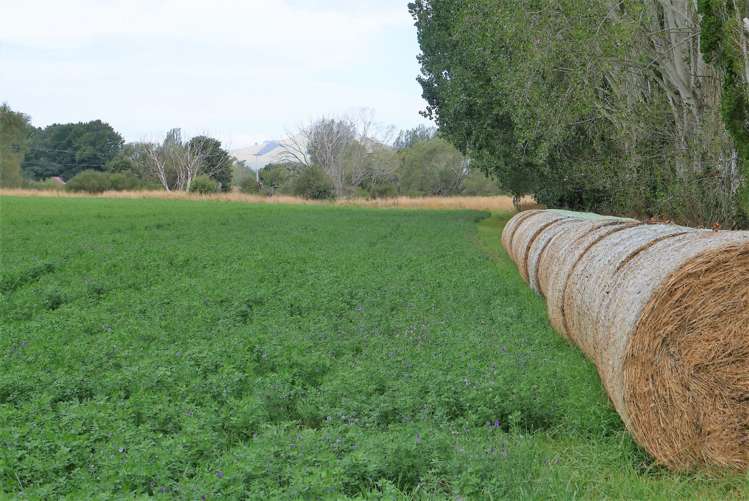 460 Palmerston-Dunback Road Palmerston_17