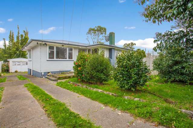 188 Tennessee Avenue Mangere East_1