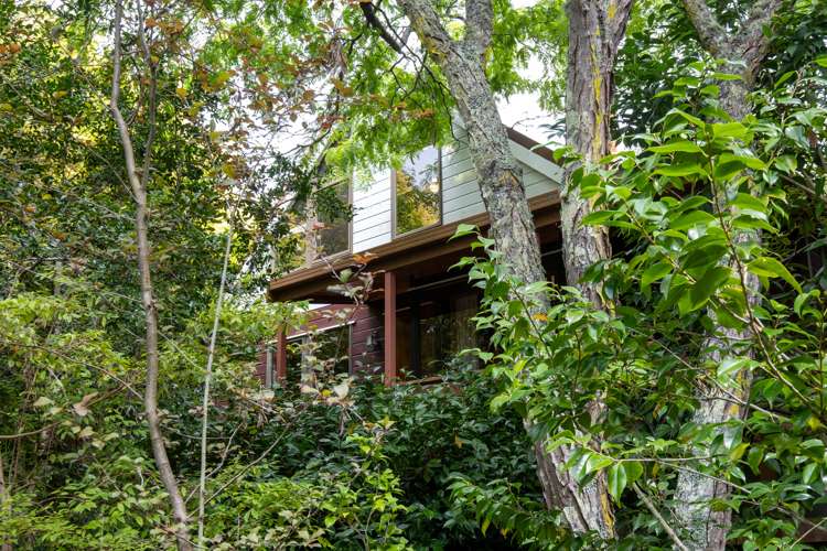 45 Reeve Drive Havelock North_20