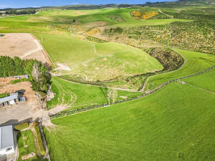 655 Rankleburn Road Tapanui_34