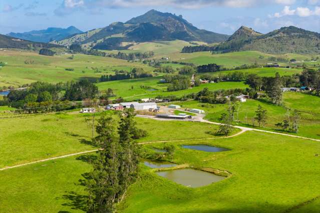 271 Pataua South Road Pataua South_1