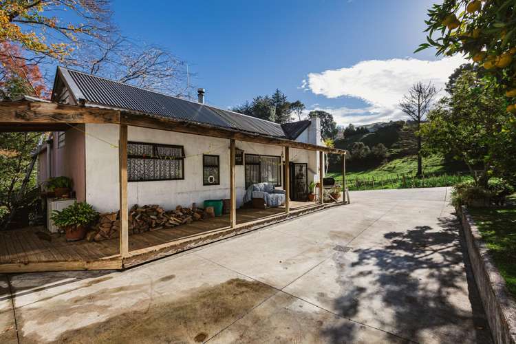 164 Hill Road Eskdale_11