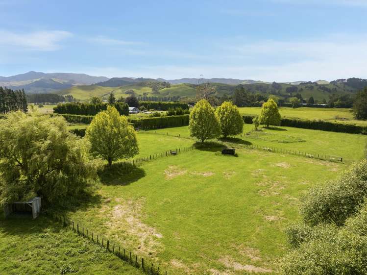590 Trig Road North Waihi_18