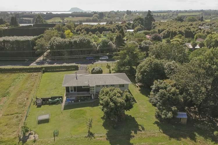 325 Snodgrass Road Te Puna_7