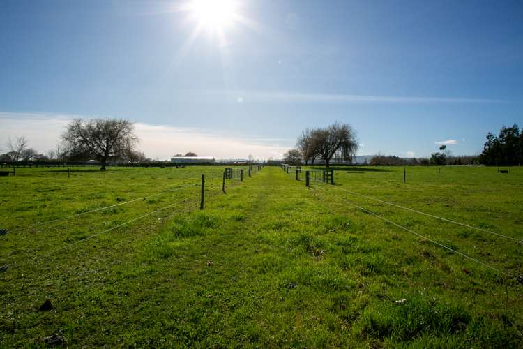 59 Nickle Road Cambridge_10