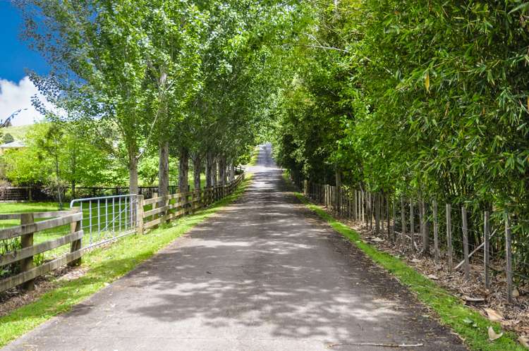 395d Matakana Valley Road Matakana_19