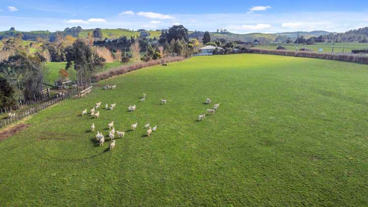 3207 State Highway 23 Raglan_13