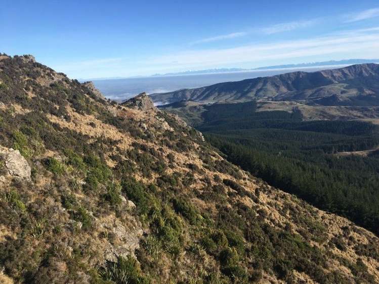 581a Mcqueens Valley Road Gebbies Valley_11