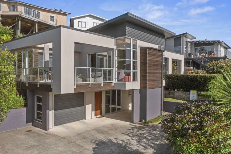 23d Violet Street Raglan_6