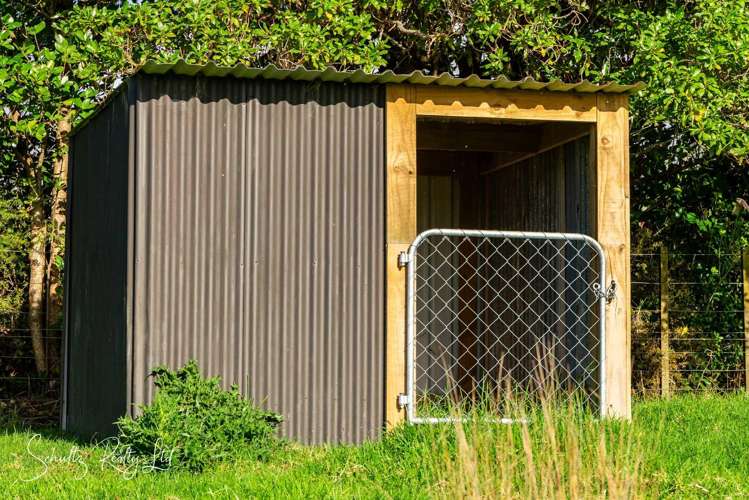 194 Heatley Road Maungaturoto_32