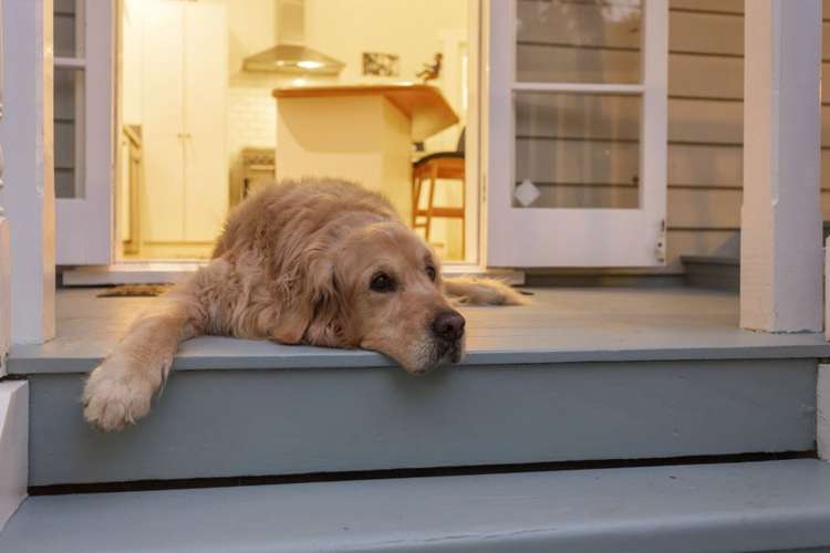 12b Kawerau Avenue Devonport_18