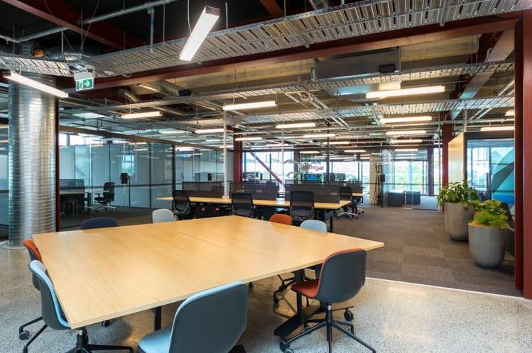 74 Taharoto Avenue Takapuna_3