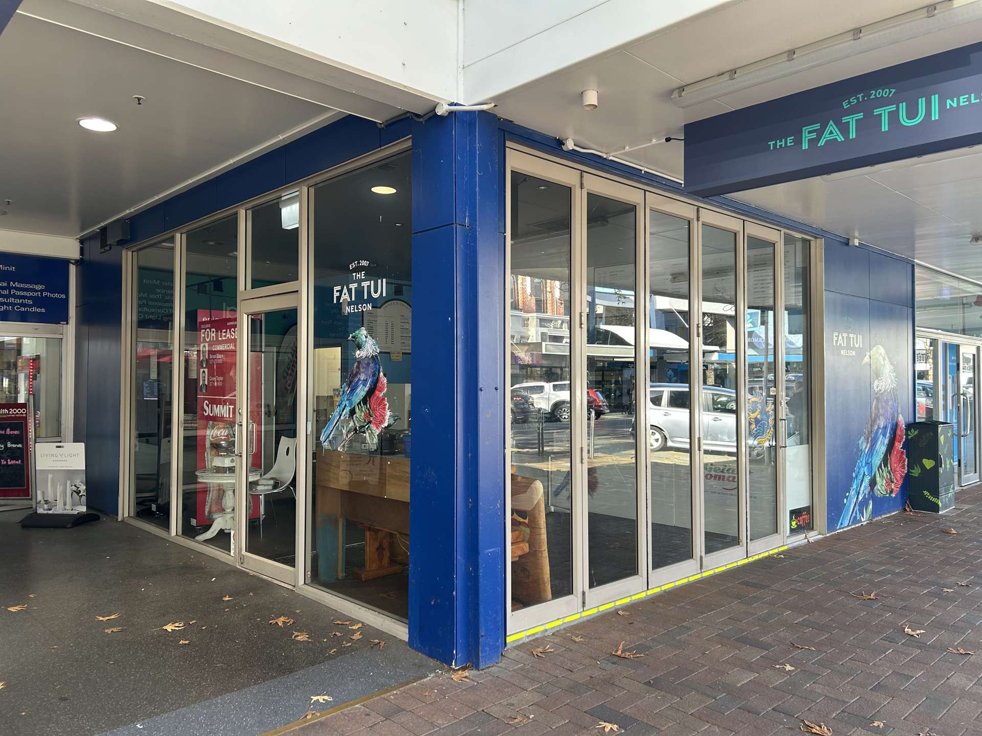 219 Trafalgar Street Nelson_0