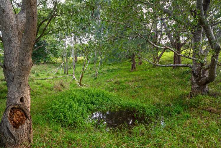 12 Whitehills Road Waitoki_27