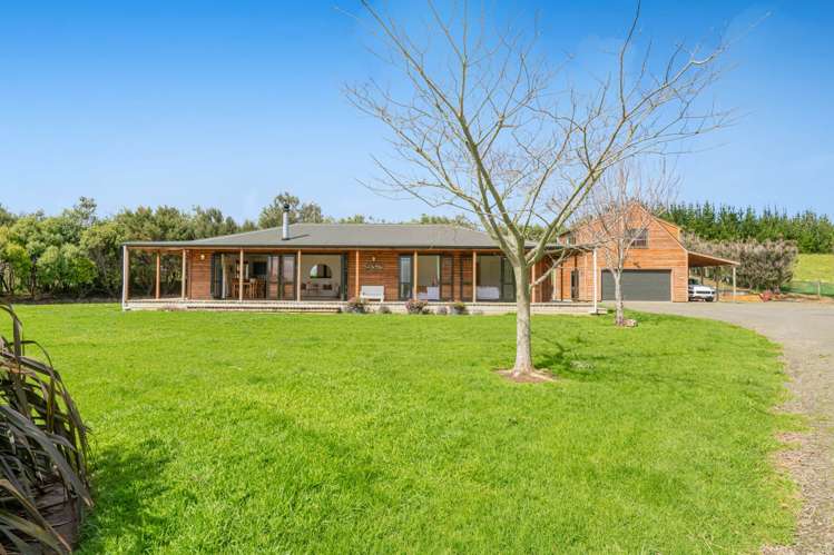 515 Fordyce Road Helensville_18