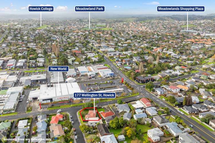 177 Wellington Street Howick_9