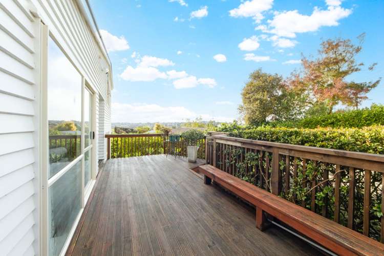 61 Albrecht Avenue Mount Roskill_2