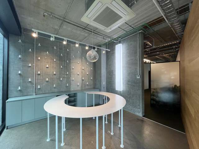 5 Crummer Road Grey Lynn_2