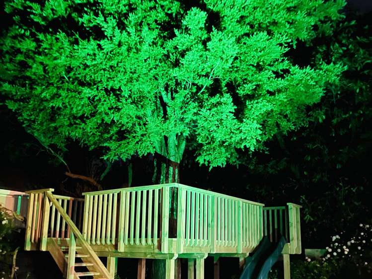 71 Martin Street Wallaceville_5