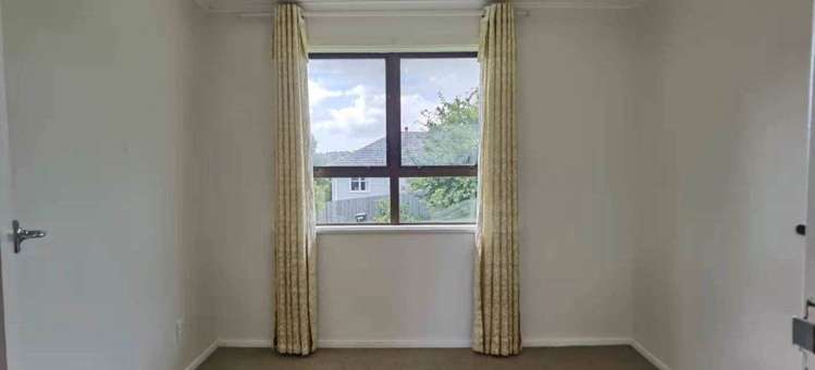 91 Webster Avenue Mount Roskill_5