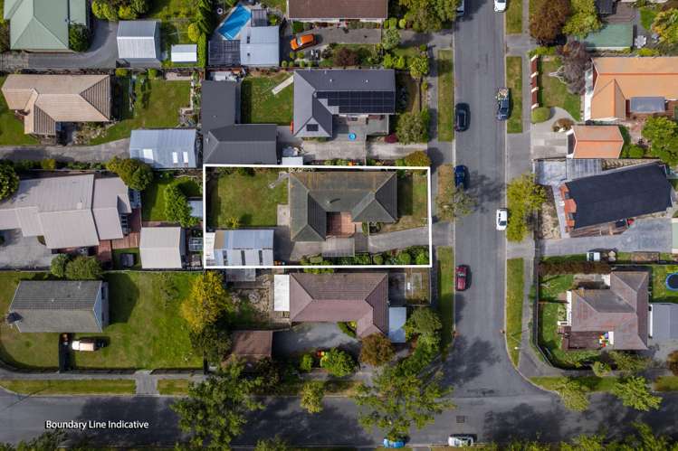 36 Jenkins Avenue Redwood_1