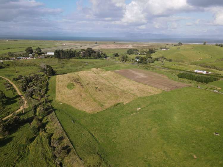 927 Findlay Road Hauraki Surrounds_5