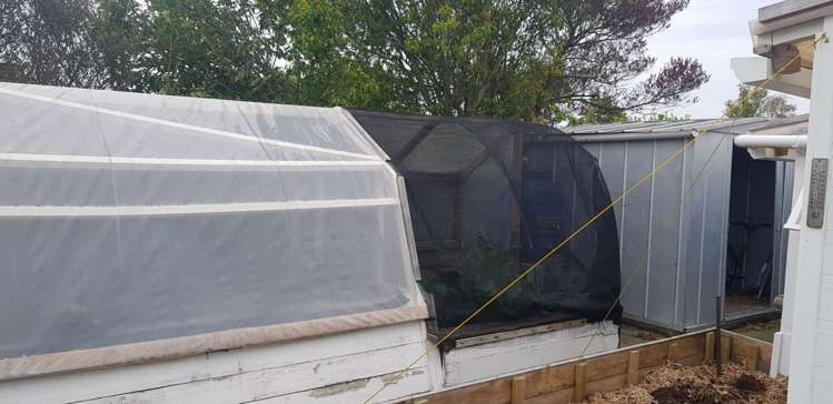 7 Palmer Street Rangiora_11