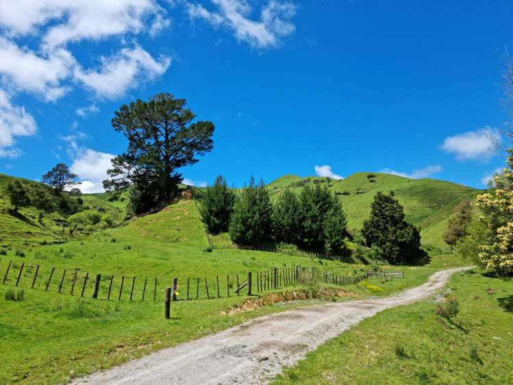 852 Mangawara Road Tahuna_13